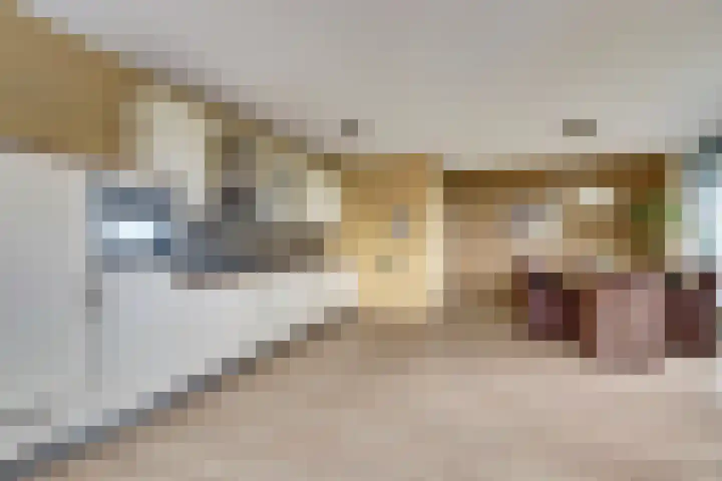 Sophiapromenade 120 Hendrik-Ido-Ambacht thumbnail 16