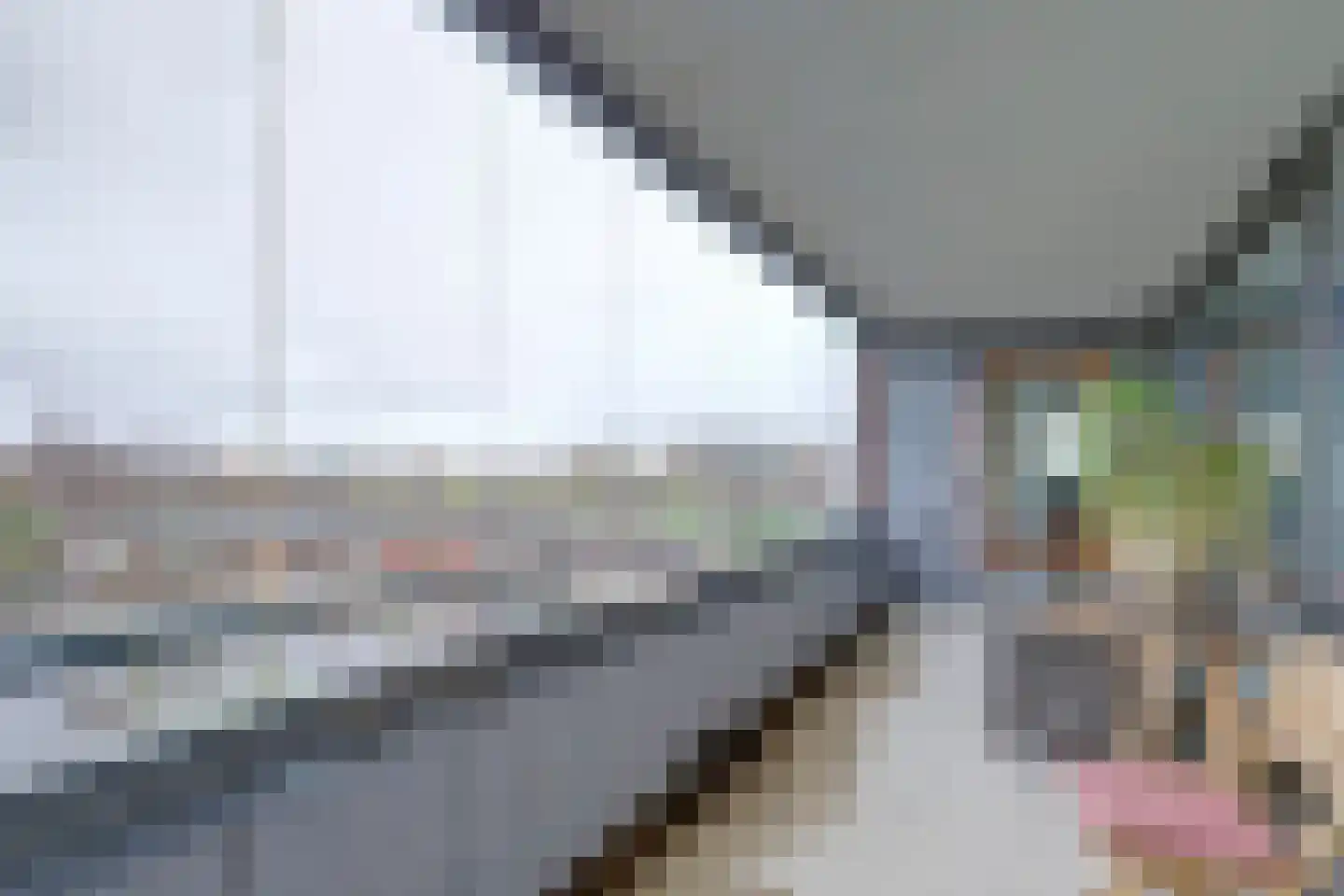 Sophiapromenade 120 Hendrik-Ido-Ambacht thumbnail 18
