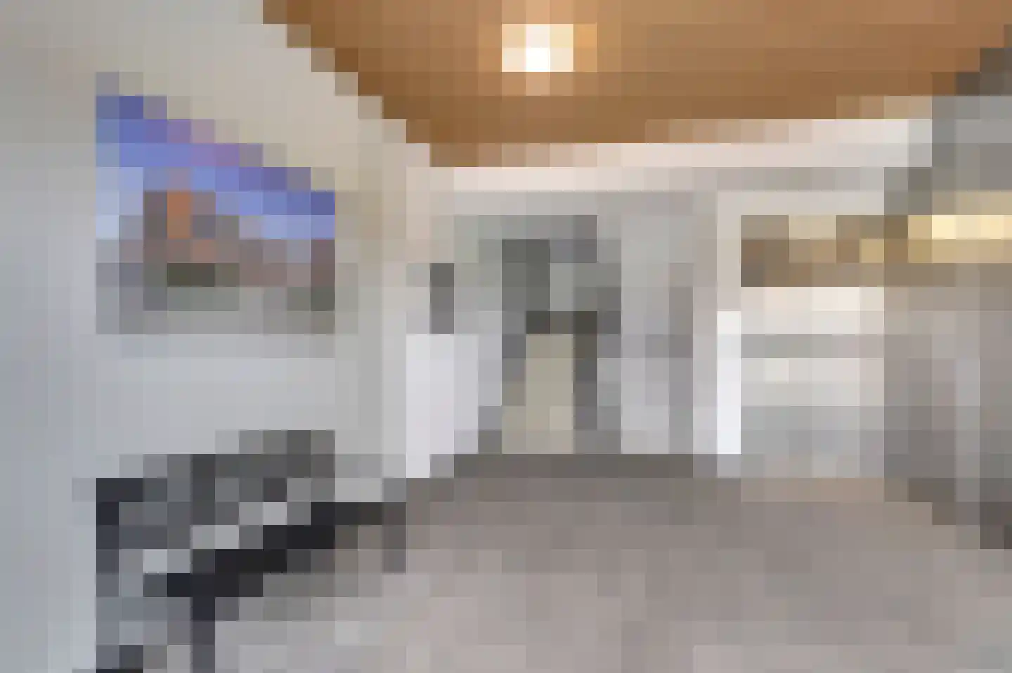 Sophiapromenade 120 Hendrik-Ido-Ambacht thumbnail 7