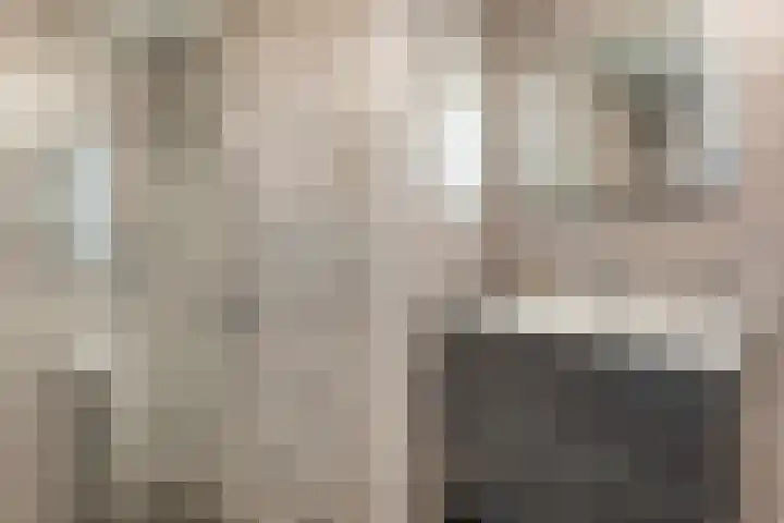 Sophiapromenade 260 Hendrik-Ido-Ambacht thumbnail 31