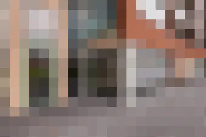 Sophiapromenade 260 Hendrik-Ido-Ambacht thumbnail 9
