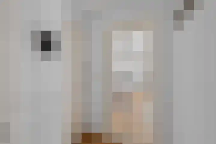 Sophiastraat 1 b Roosendaal thumbnail 6