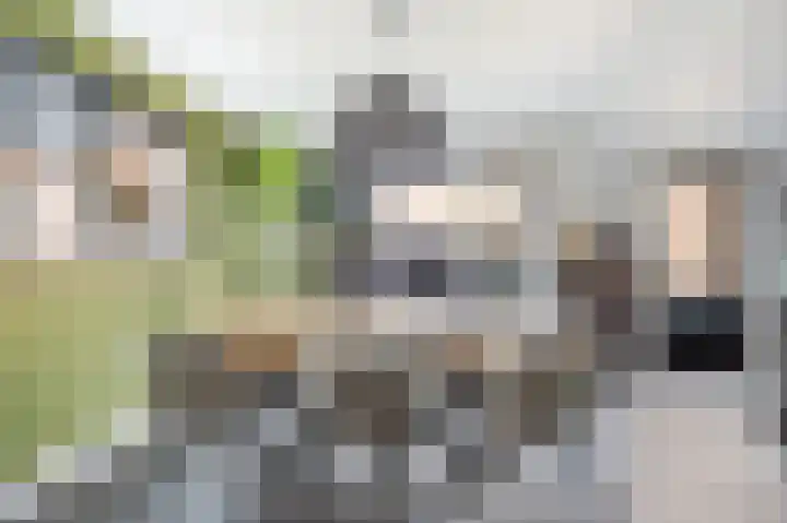 Sophiastraat 1 Schijndel thumbnail 10