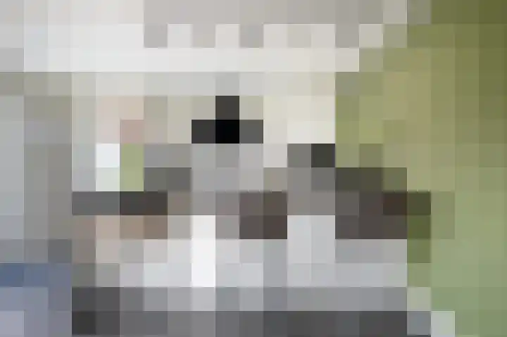 Sophiastraat 1 Schijndel thumbnail 11