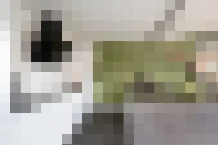 Sophiastraat 1 Schijndel thumbnail 14