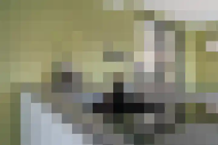 Sophiastraat 1 Schijndel thumbnail 15