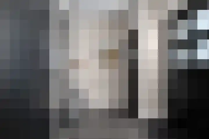 Sophiastraat 1 Schijndel thumbnail 17