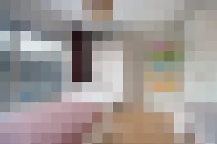 Sophiastraat 1 Schijndel thumbnail 24