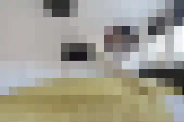 Sophiastraat 1 Schijndel thumbnail 32