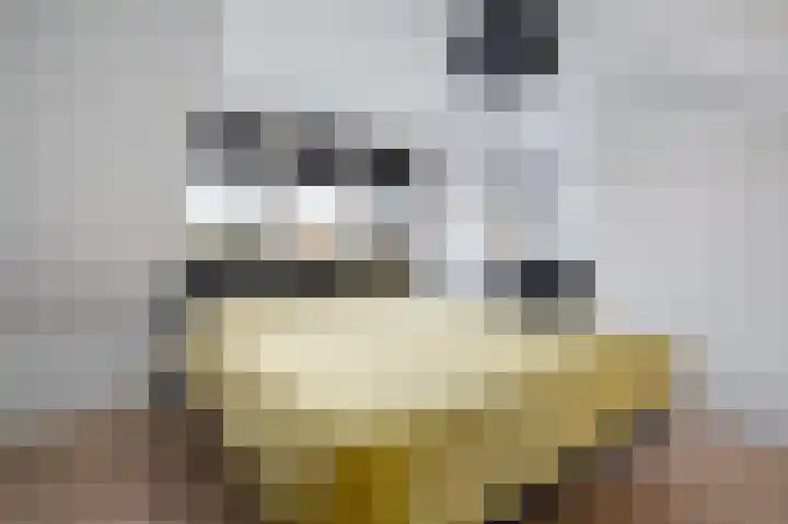 Sophiastraat 1 Schijndel thumbnail 33