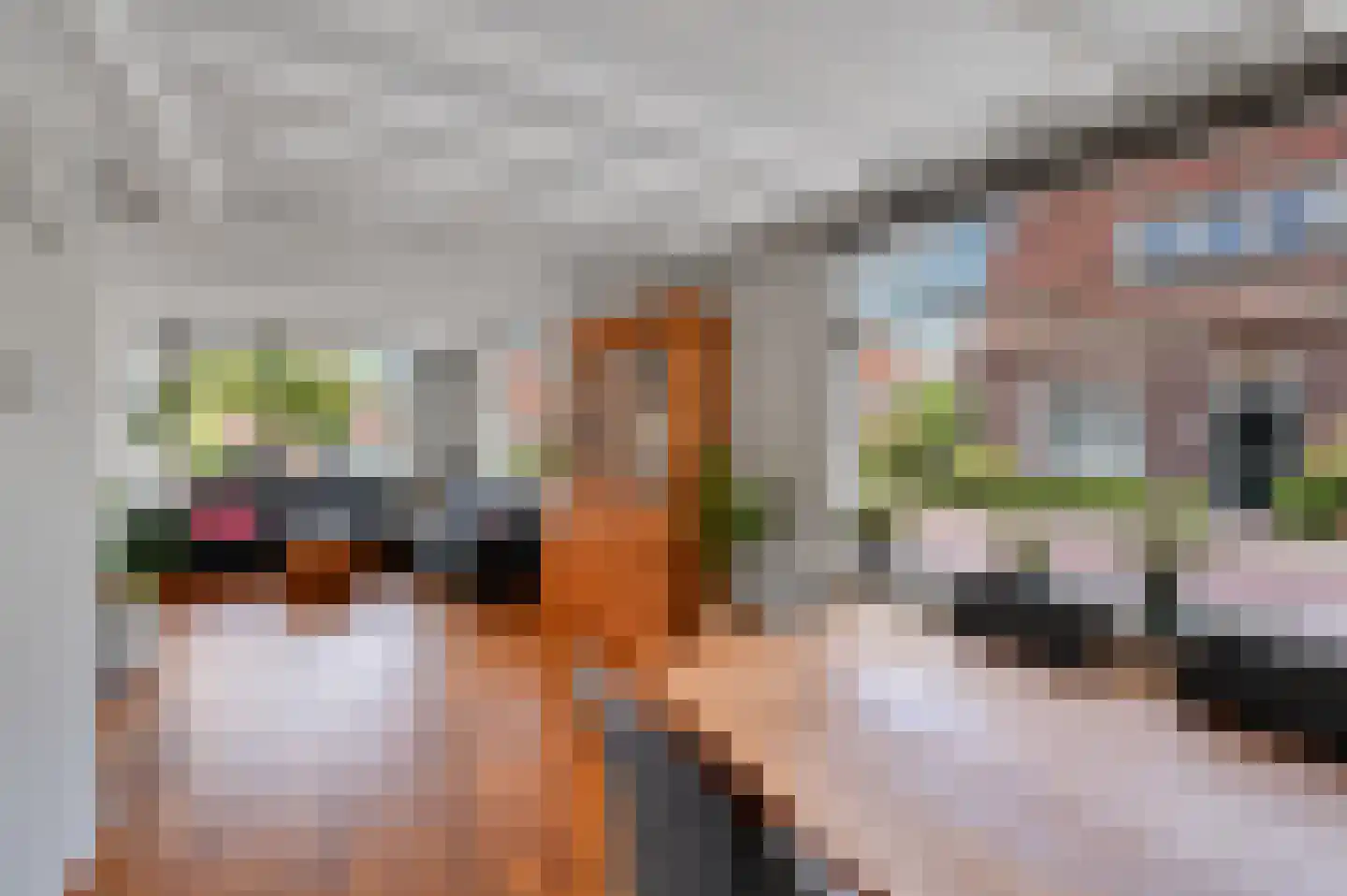 Sophiastraat 1 Voorburg thumbnail 10