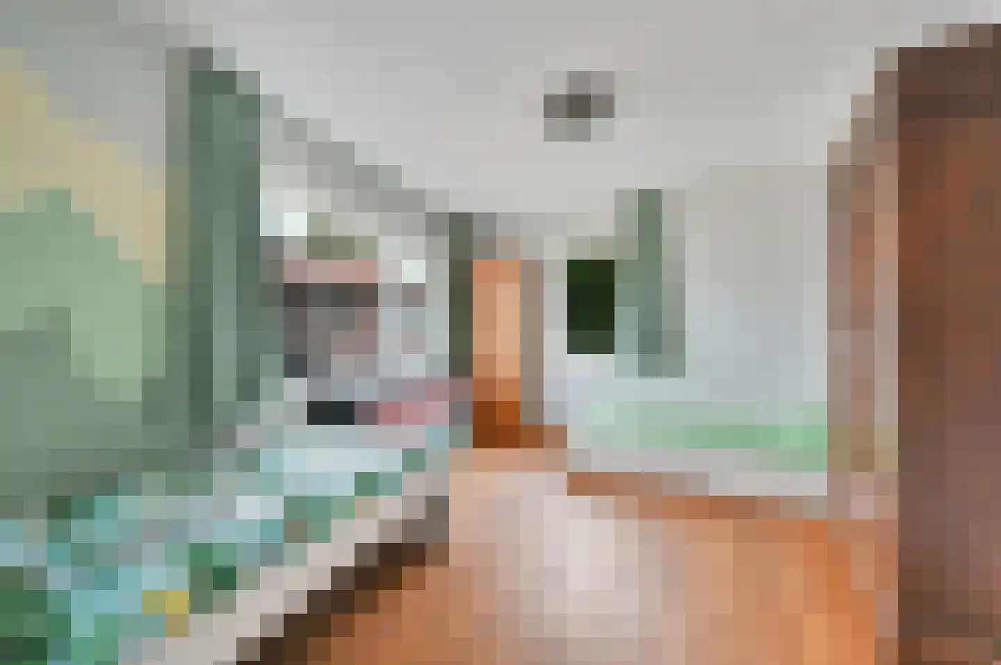Sophiastraat 1 Voorburg thumbnail 31