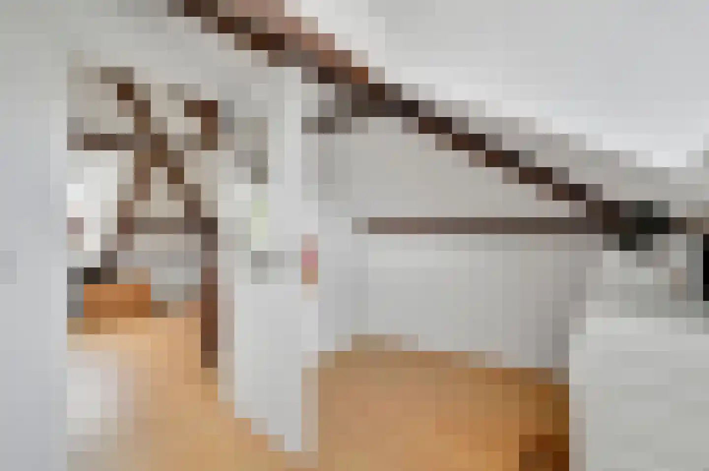 Sophiastraat 1 Voorburg thumbnail 36