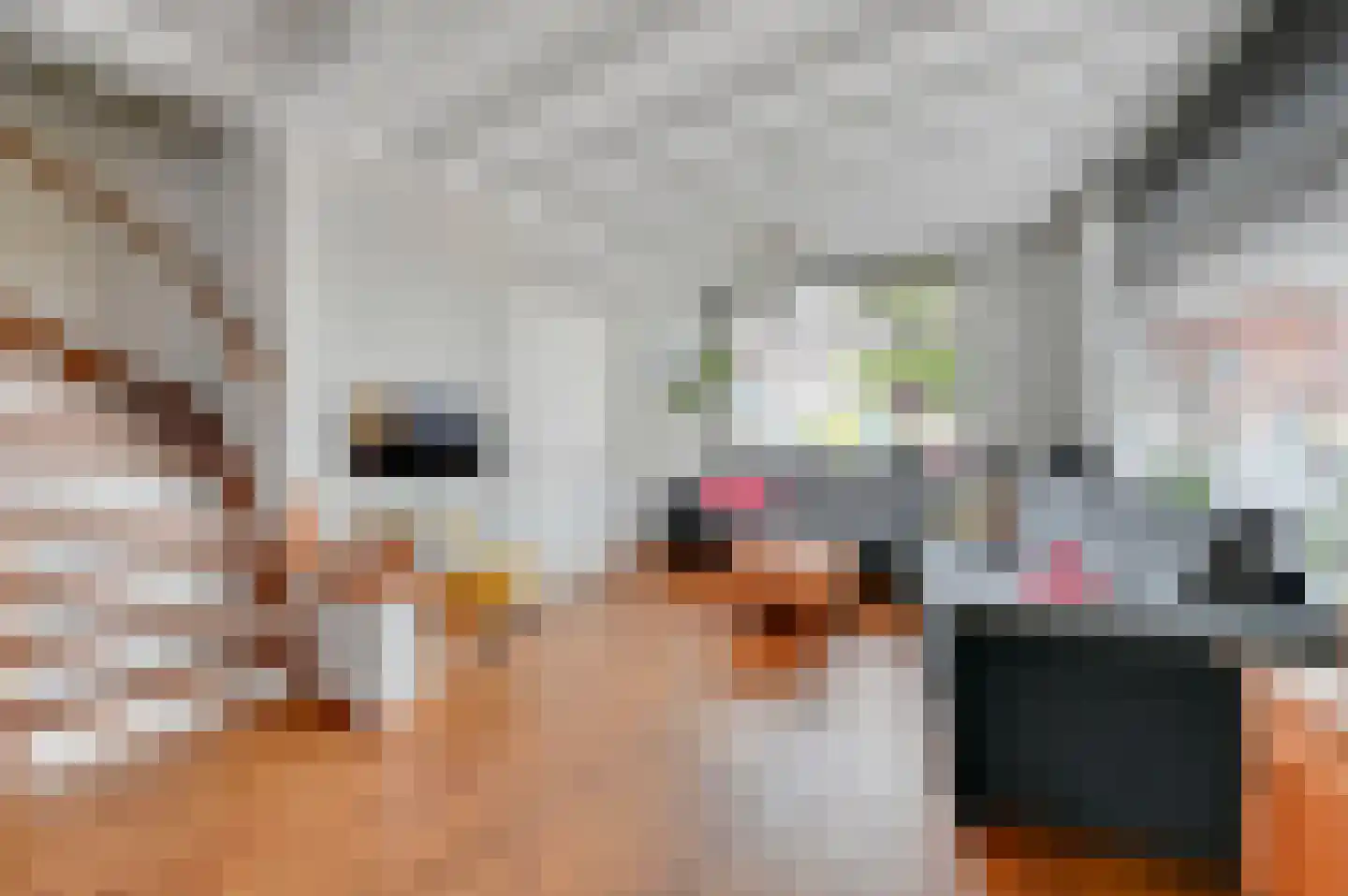 Sophiastraat 1 Voorburg thumbnail 7