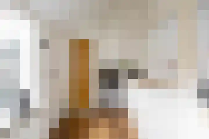 Sophiastraat 11 Groningen thumbnail 20