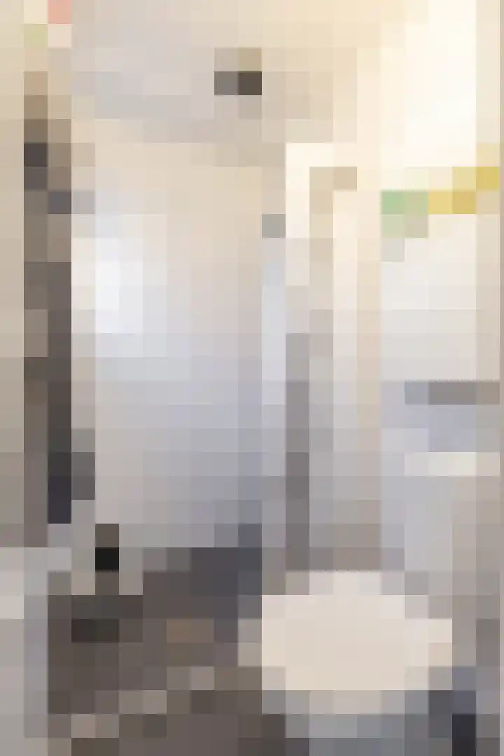 Sophiastraat 11 Groningen thumbnail 21