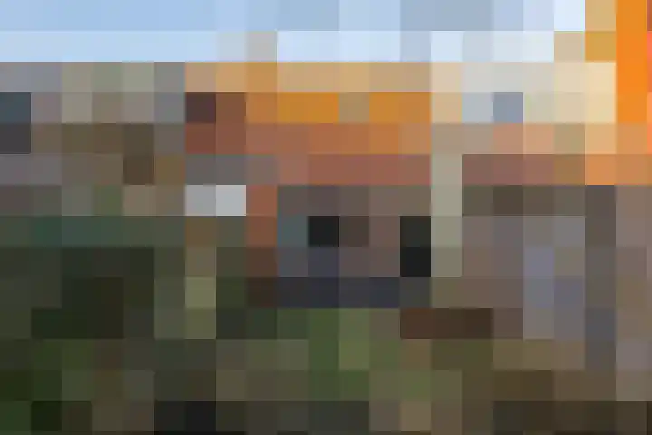 Sophiastraat 11 Groningen thumbnail 28