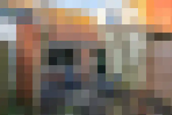 Sophiastraat 11 Groningen thumbnail 29