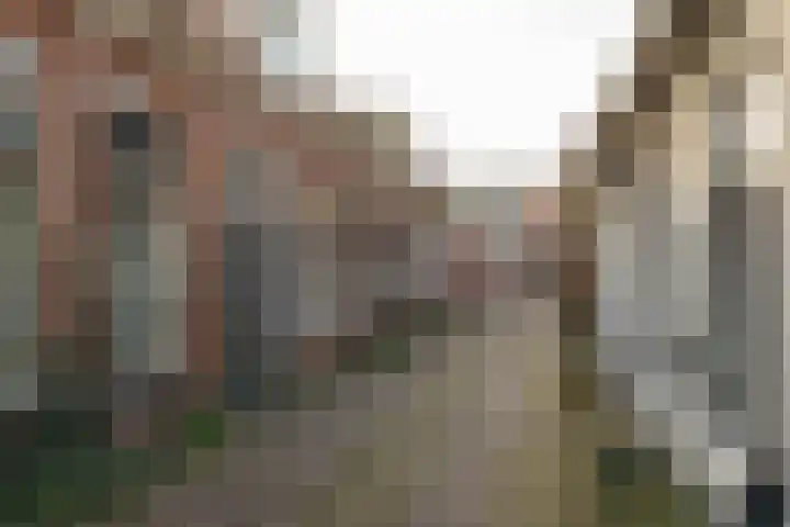 Sophiastraat 11 Groningen thumbnail 31