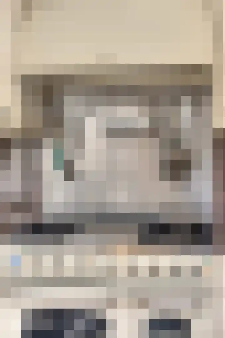 Sophiastraat 12 Waalre thumbnail 13