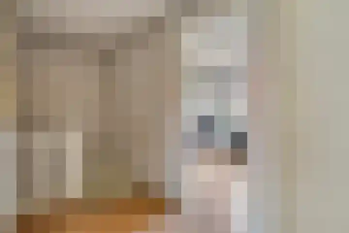 Sophiastraat 12 Waalre thumbnail 14