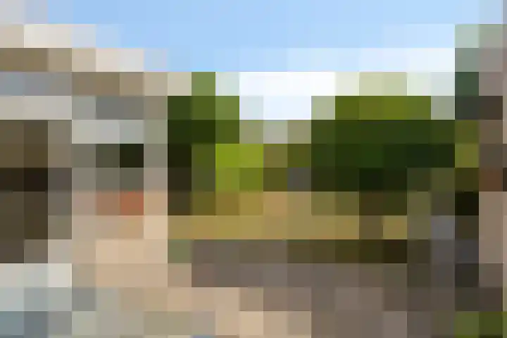 Sophiastraat 12 Waalre thumbnail 21