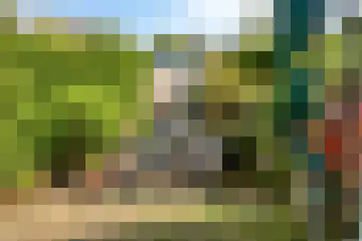 Sophiastraat 12 Waalre thumbnail 23
