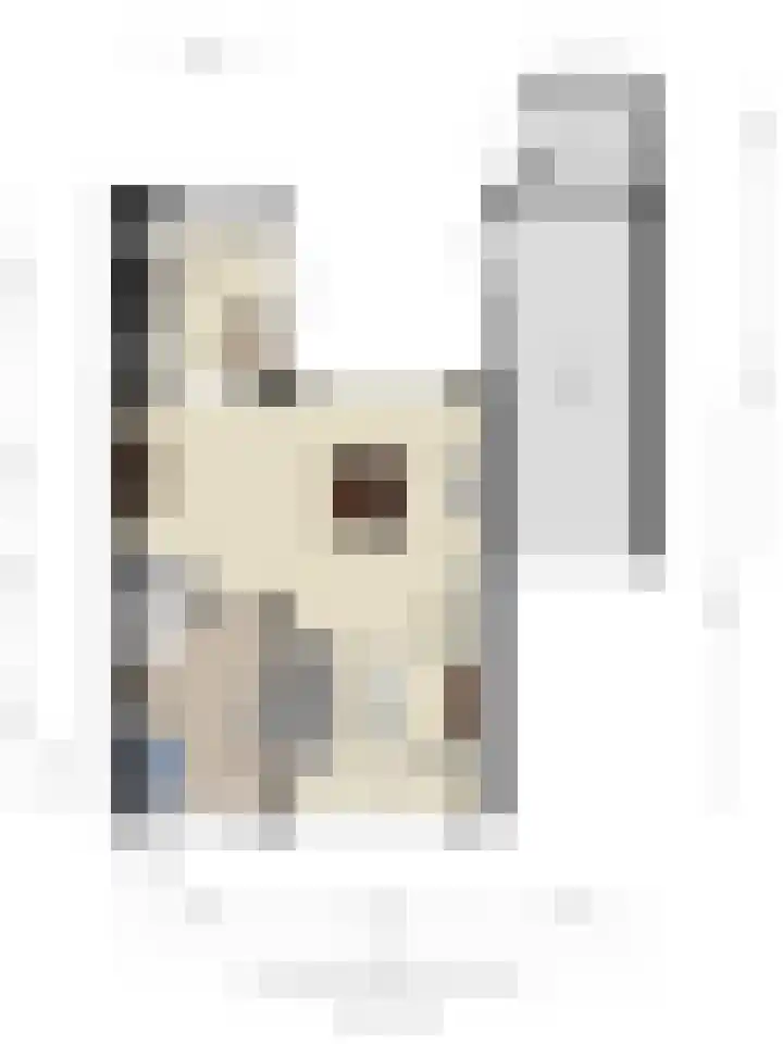 Sophiastraat 12 Waalre thumbnail 24