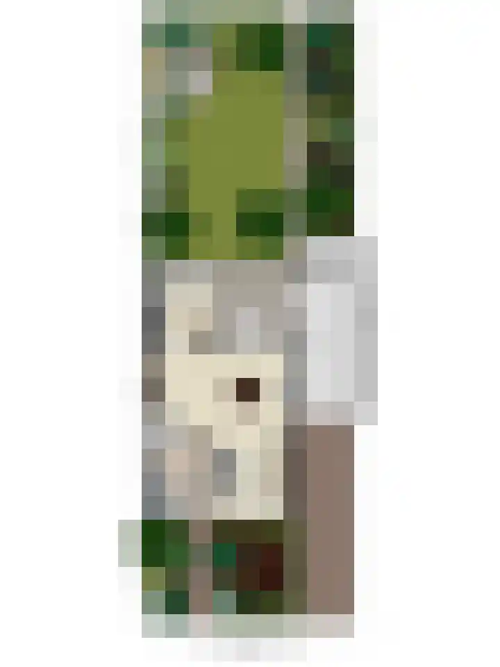 Sophiastraat 12 Waalre thumbnail 27