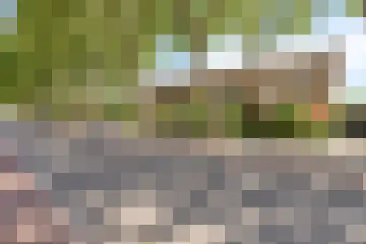 Sophiastraat 12 Waalre thumbnail 4