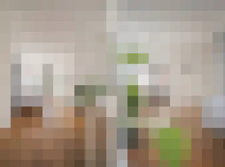 Sophiastraat 134 Velp thumbnail 11
