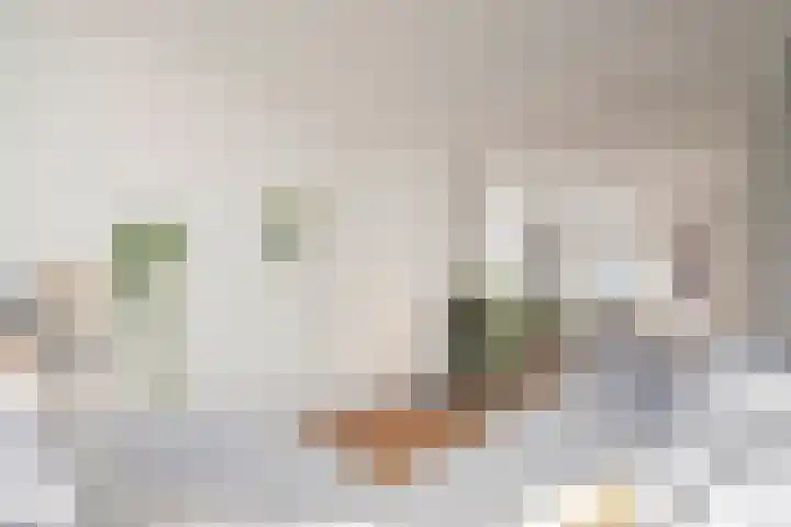 Sophiastraat 134 Velp thumbnail 13