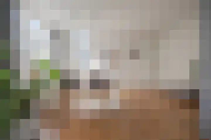 Sophiastraat 134 Velp thumbnail 14
