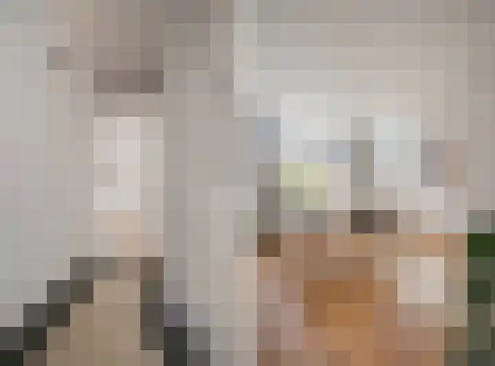 Sophiastraat 134 Velp thumbnail 17