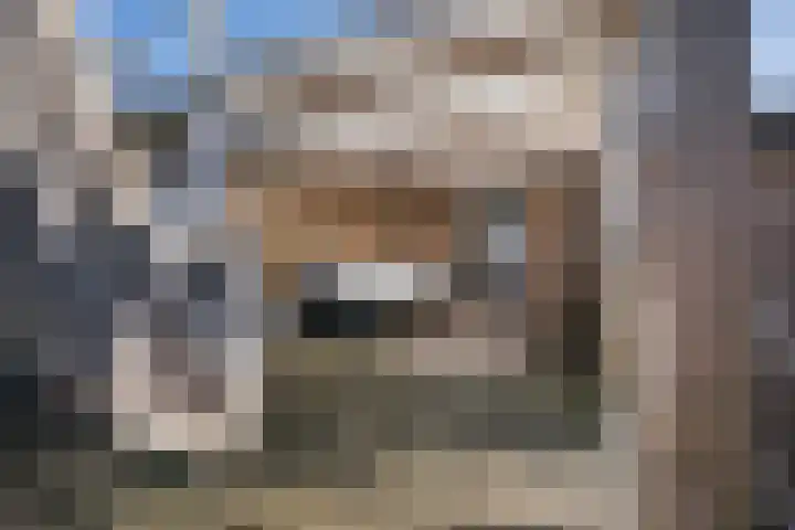 Sophiastraat 134 Velp thumbnail 36