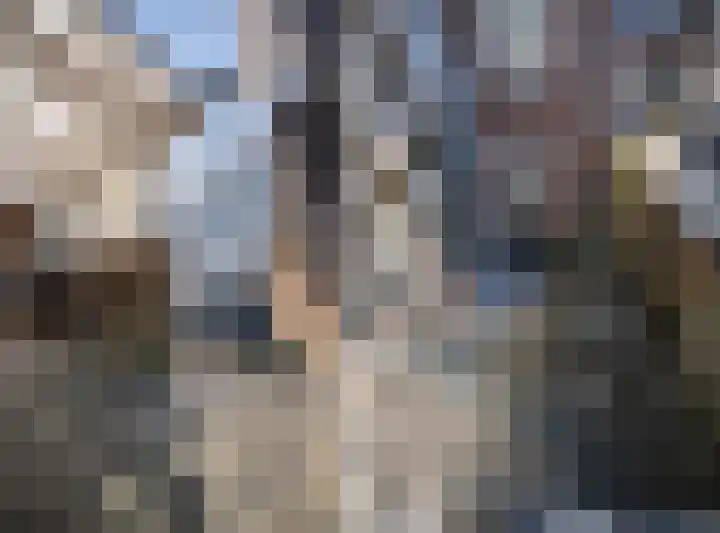 Sophiastraat 134 Velp thumbnail 37