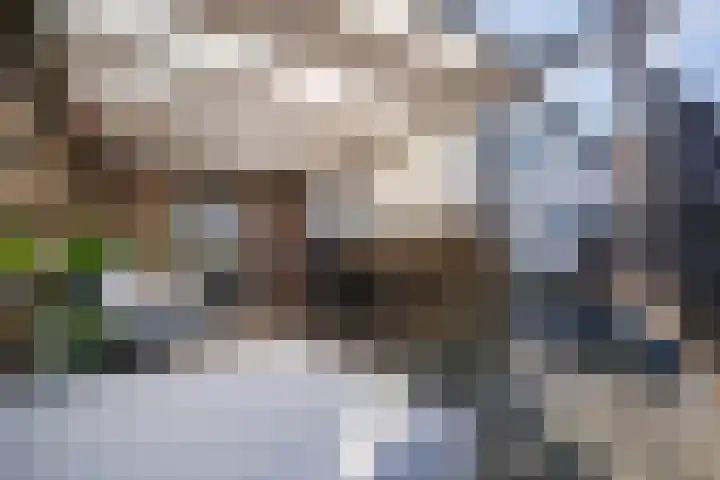 Sophiastraat 134 Velp thumbnail 38