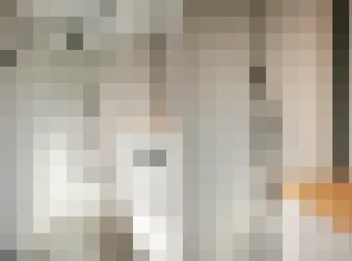 Sophiastraat 134 Velp thumbnail 42