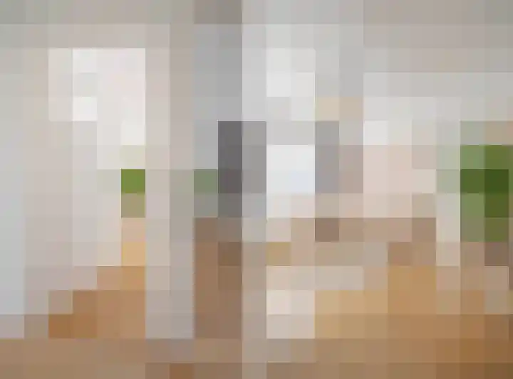 Sophiastraat 134 Velp thumbnail 43