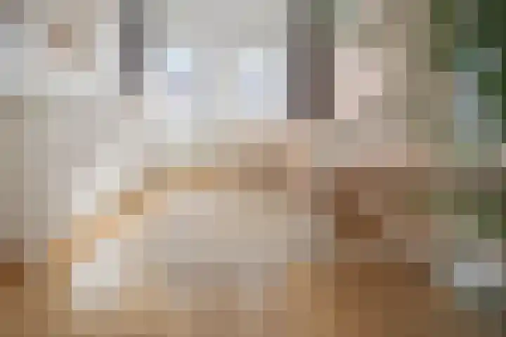 Sophiastraat 134 Velp thumbnail 44