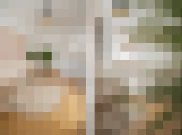 Sophiastraat 134 Velp thumbnail 46