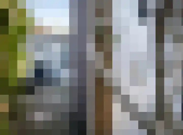 Sophiastraat 134 Velp thumbnail 54
