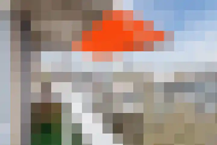 Sophiastraat 14 Velp thumbnail 35
