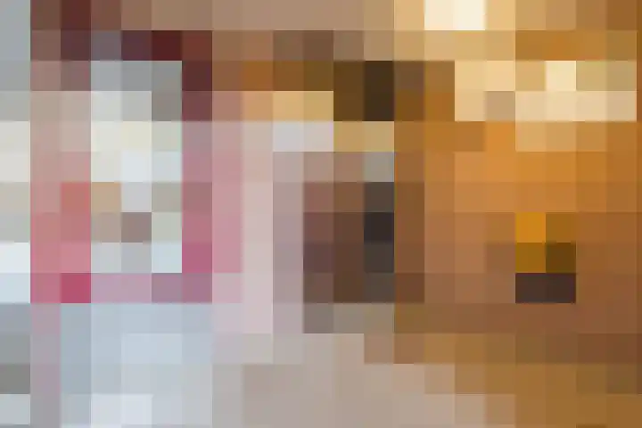 Sophiastraat 14 Velp thumbnail 45