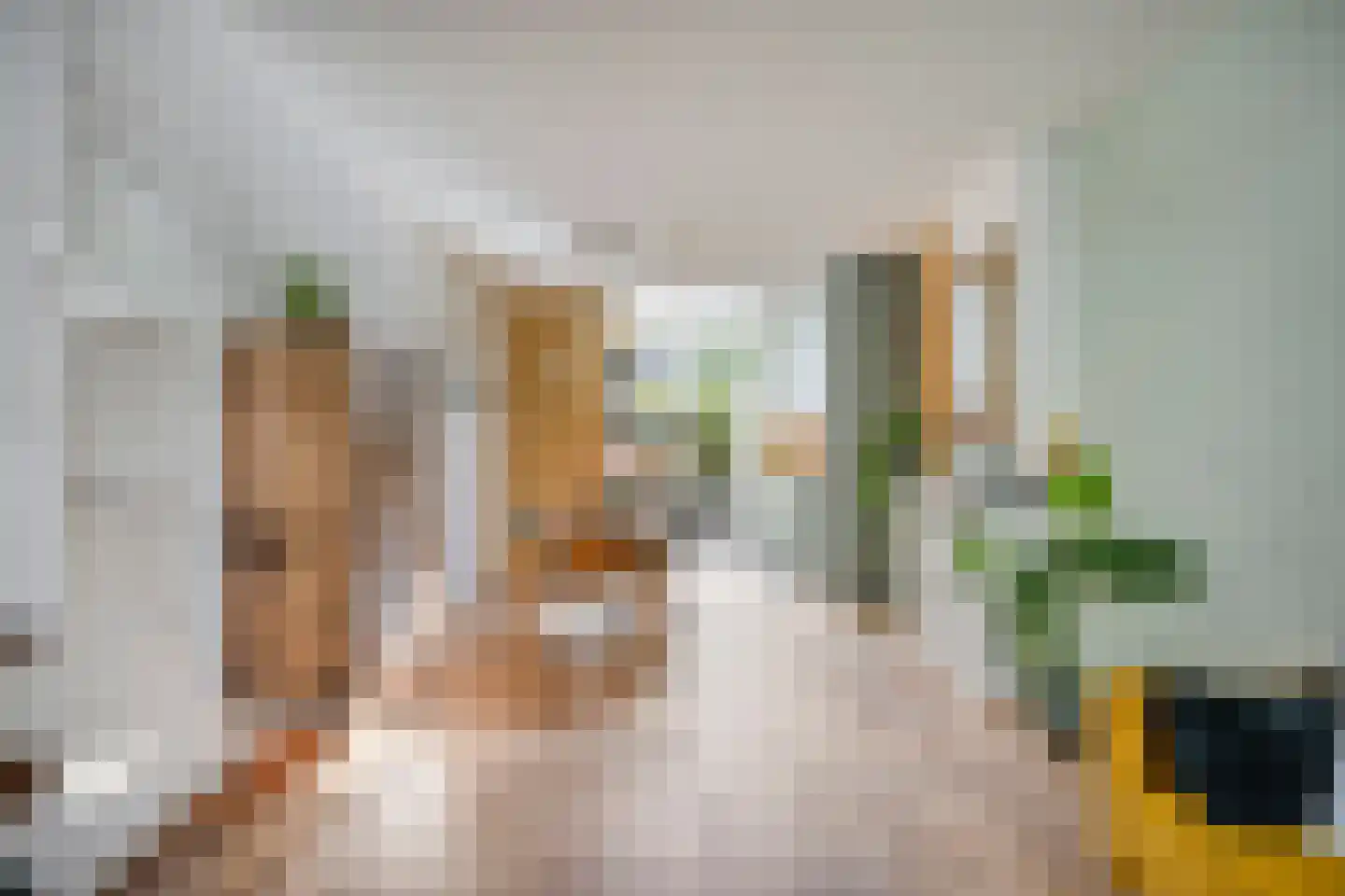 Sophiastraat 15 Pijnacker thumbnail 11