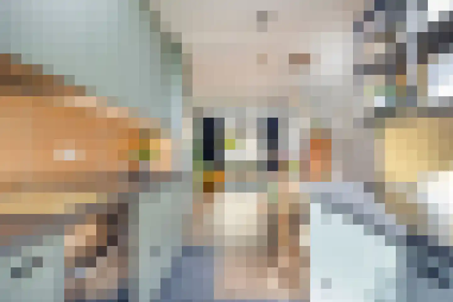 Sophiastraat 15 Pijnacker thumbnail 13