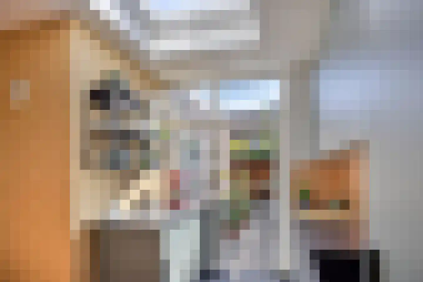 Sophiastraat 15 Pijnacker thumbnail 14