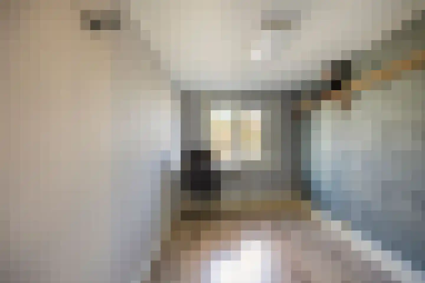 Sophiastraat 15 Pijnacker thumbnail 20