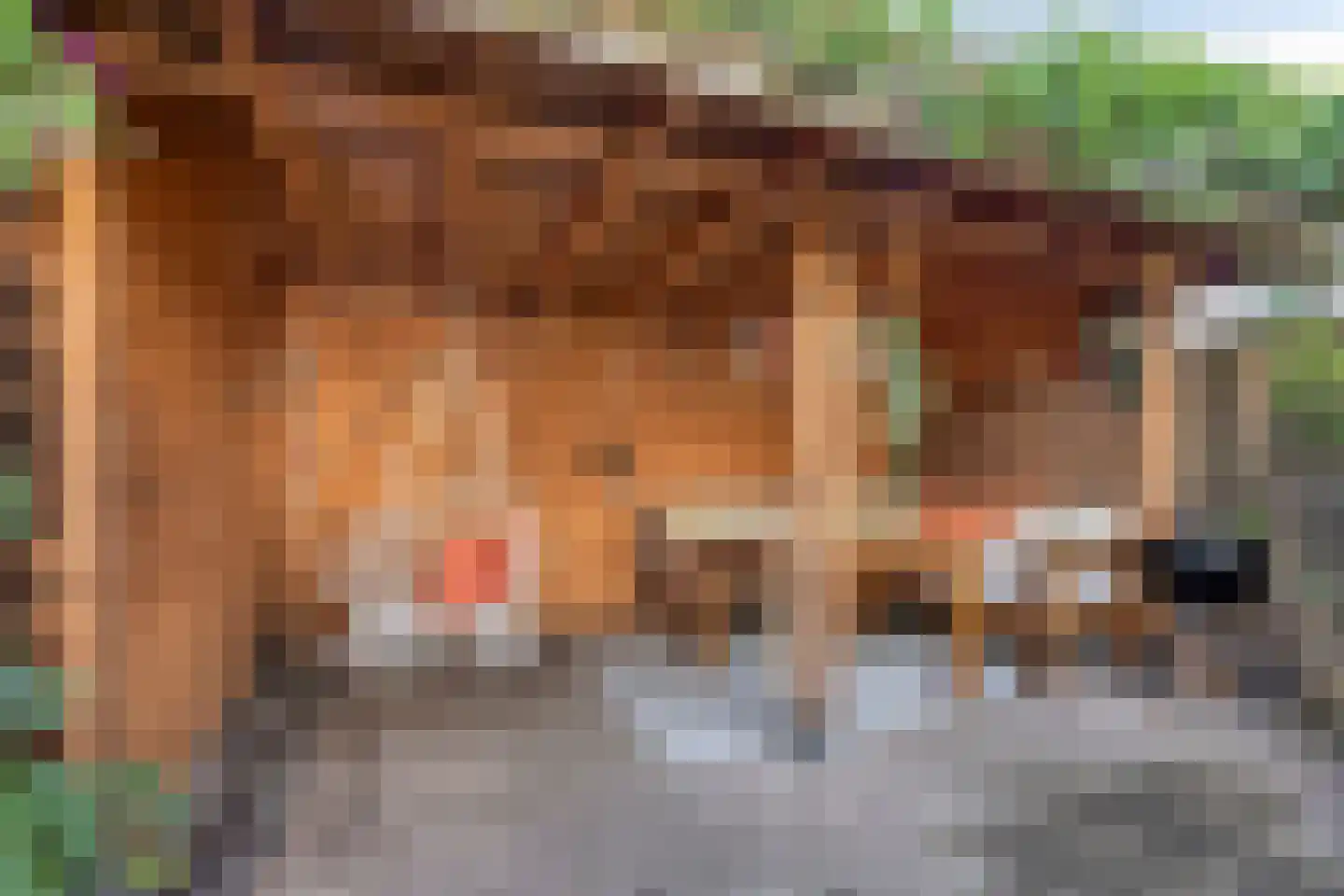 Sophiastraat 15 Pijnacker thumbnail 25