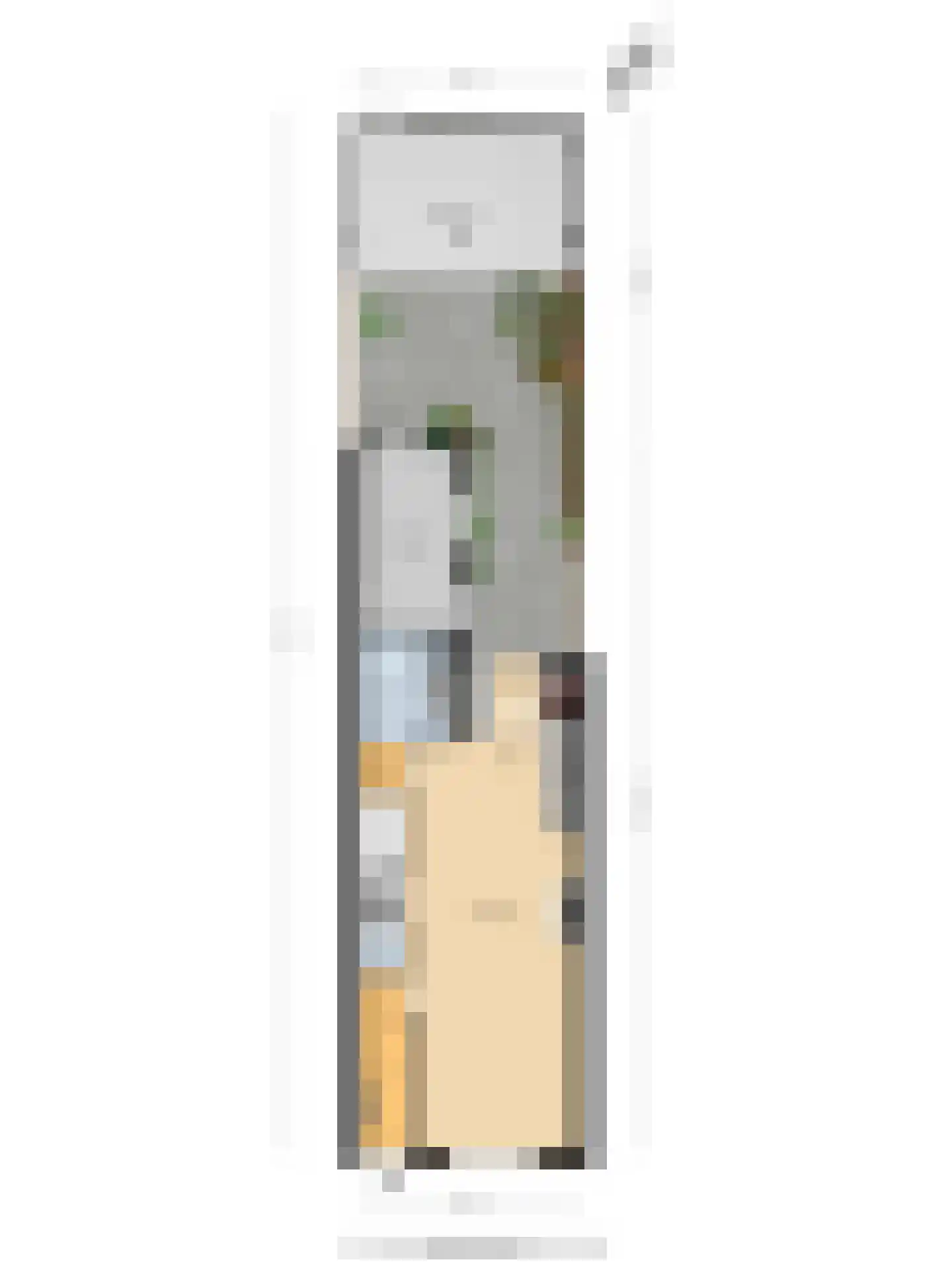 Sophiastraat 15 Pijnacker thumbnail 26